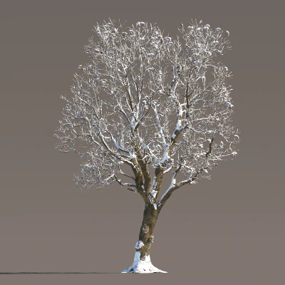 056 winter — Descargar
