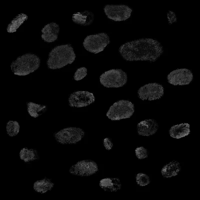 bonus isolatedFingerprints 025 — Скачать