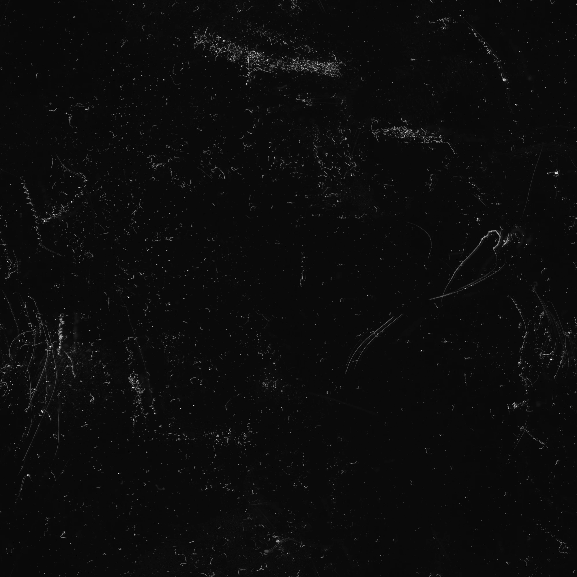 hairs fibres 023 — Скачать