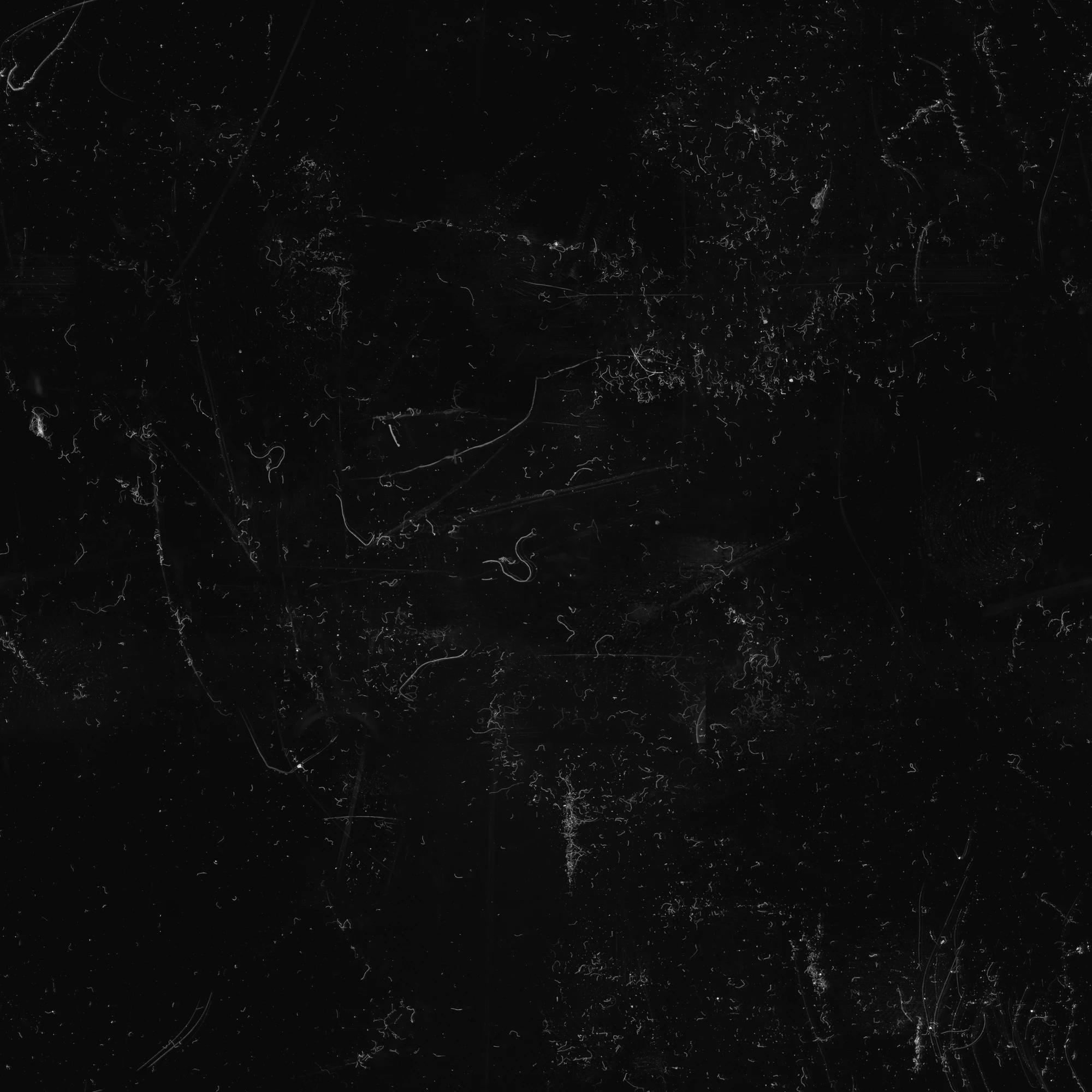 hairs fibres 024 — Скачать