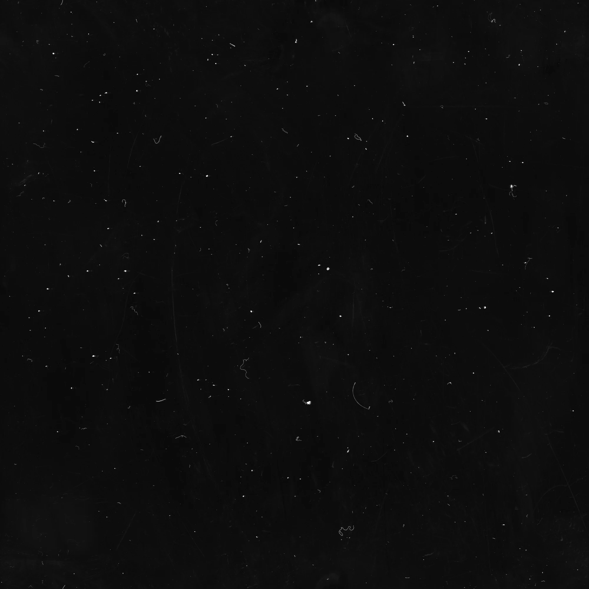 specs hairs 052 — Скачать