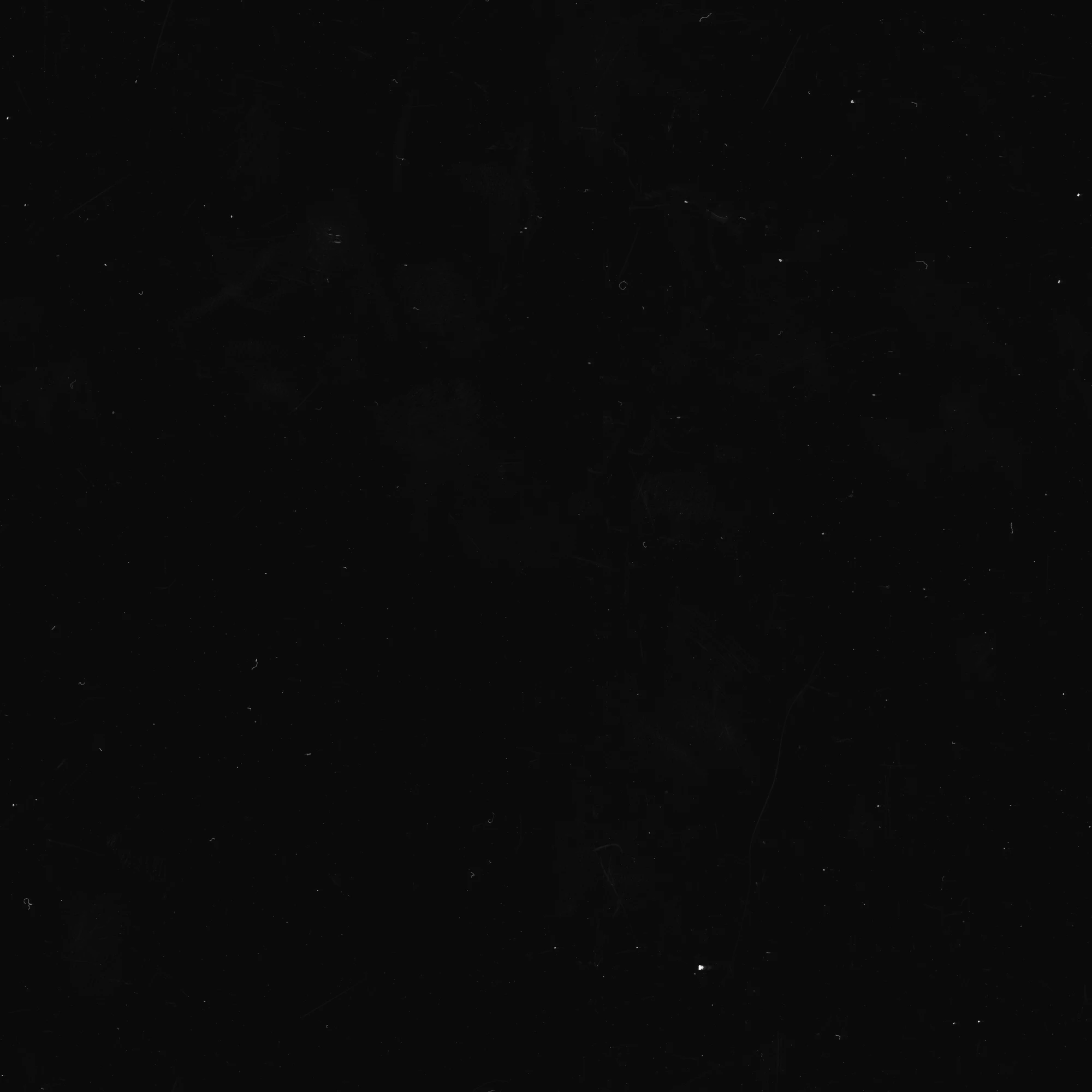 specs hairs 053 — Скачать