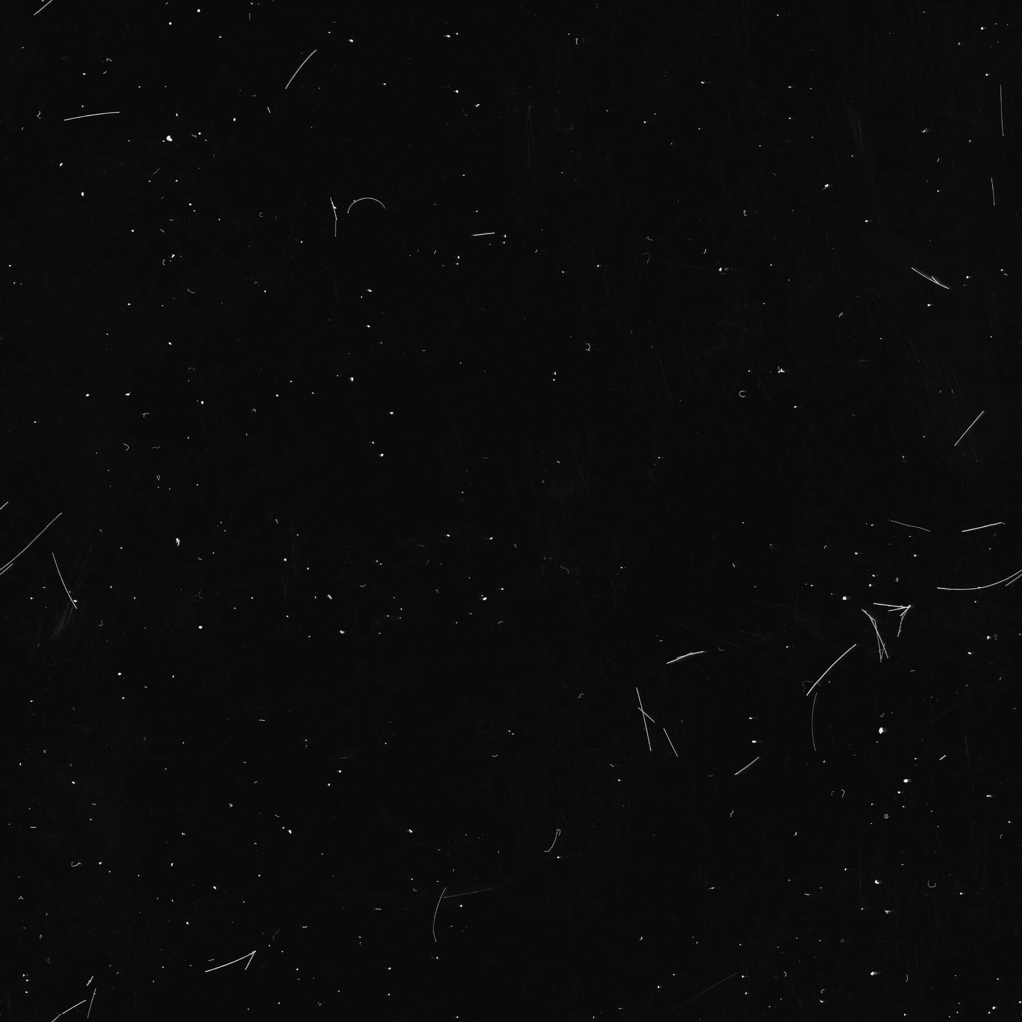 specs hairs 054 — Скачать