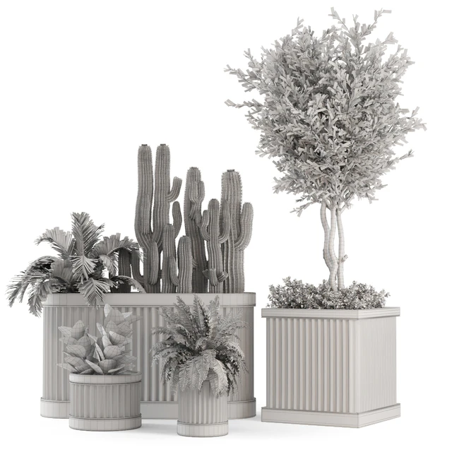 Indoor Plants Bush and Tree in Wooden Pot - Set 401 — Скачать