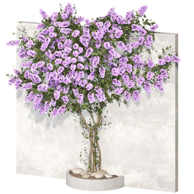 Bougainvillea plant 02 — Ver 5