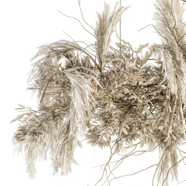 indoor Plant Set 121 - Dried Plant Hanging — Скачать