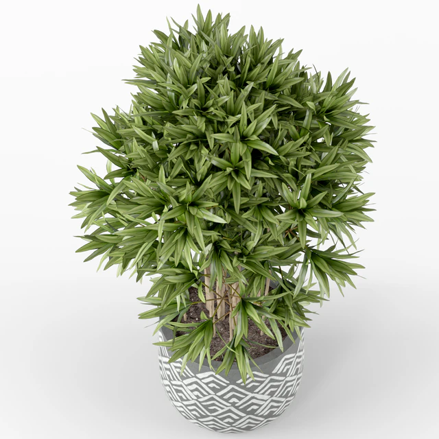 Plants collection 224 — Descargar