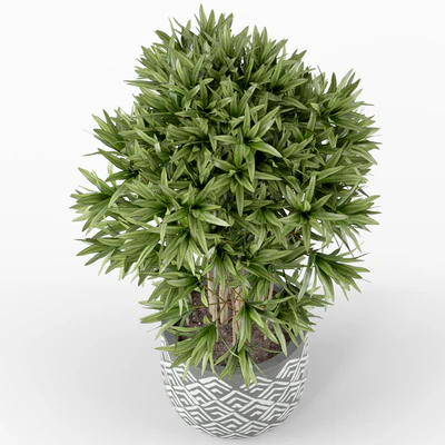 Plants collection 224 — Ver 4