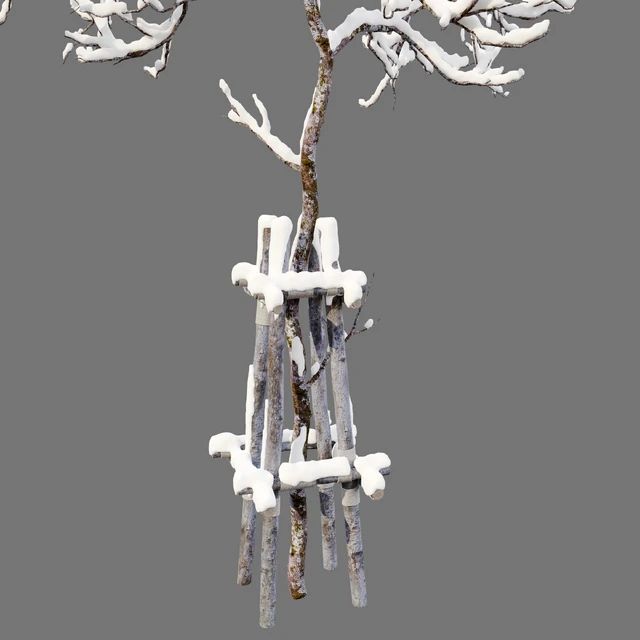winter young trees — Descargar