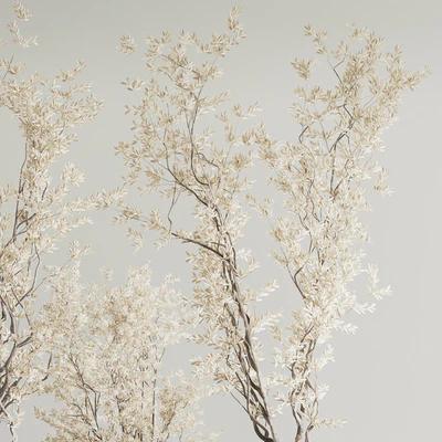 Indoor Plant Set 81 Dry Plants — Ver 7