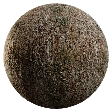 alder bark 005 — Скачать