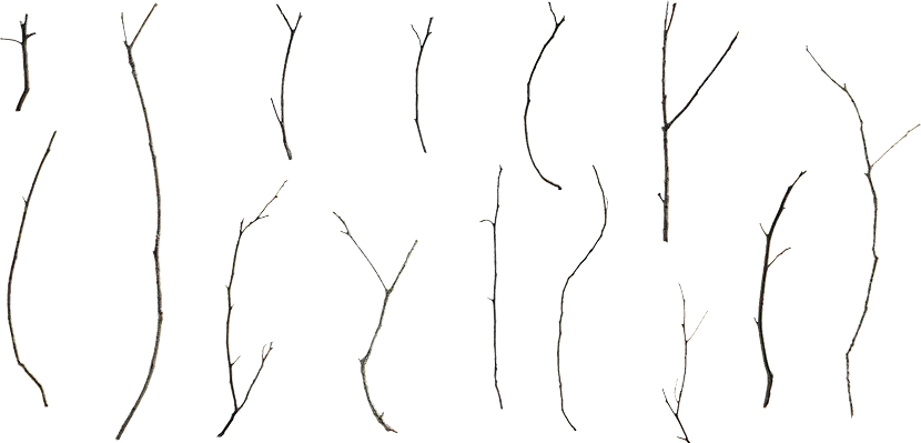 wooden sticks and twigs 004 — Скачать