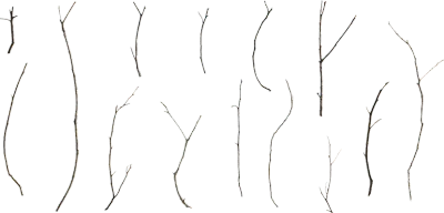 wooden sticks and twigs 004 — Скачать