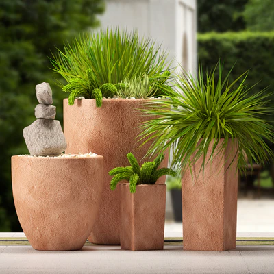 plants — Ver 1