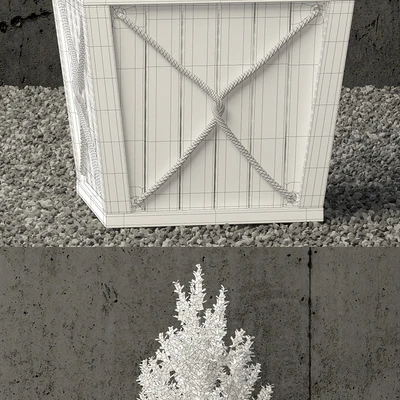 Plants collection 64 — Вид 3