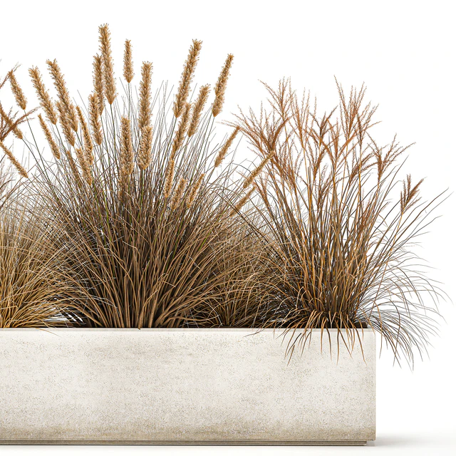 Collection of dried flower plants in a pot of Pampas grass, reeds, flowerbed, landscaping, bushes. 1072. — Descargar