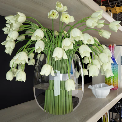 Decorative set on the shelves. — Ver 2