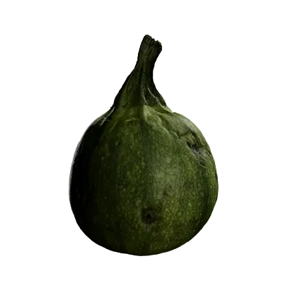 round gourd 001 — Descargar