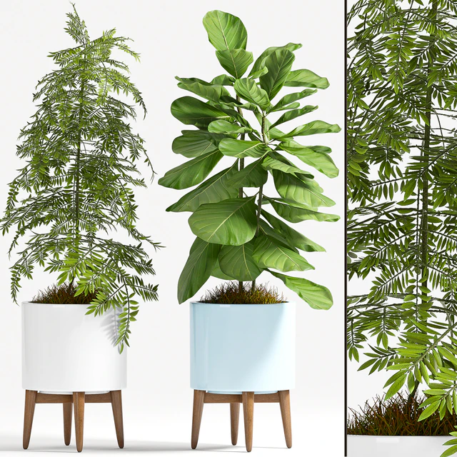 PLANT SET - 77 — Descargar