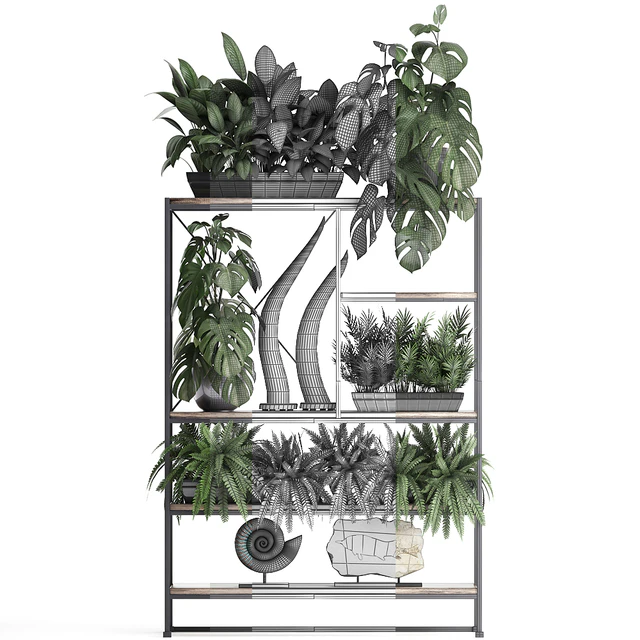 Decorative set modern wooden shelf with flowers in pots with monstera, fern, tusk, ammonite, statuette. 10 — Descargar