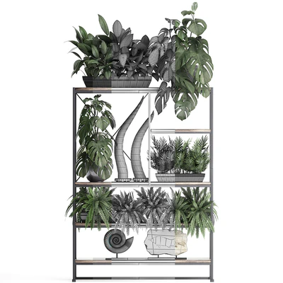 Decorative set modern wooden shelf with flowers in pots with monstera, fern, tusk, ammonite, statuette. 10 — Ver 3