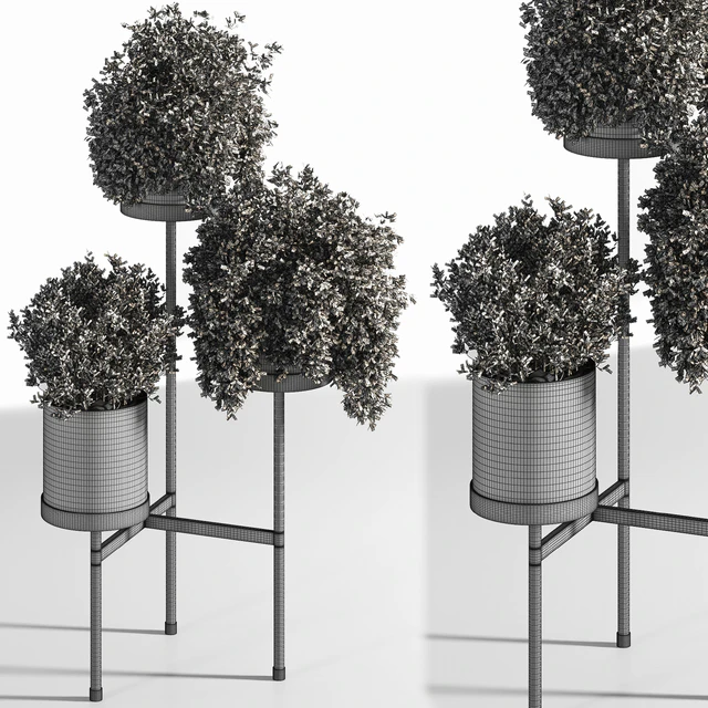 Indoor Plant Set 03 — Descargar