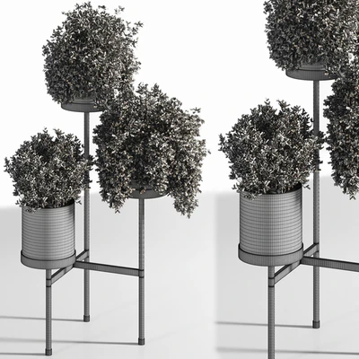 Indoor Plant Set 03 — Ver 5