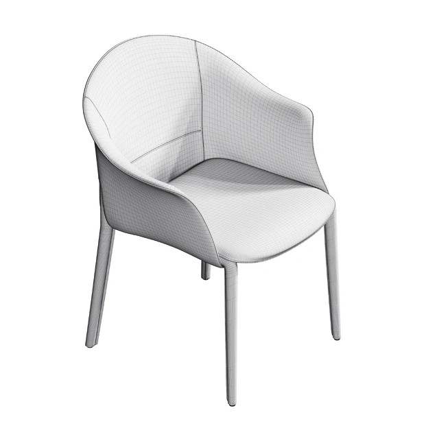Leisure dining chair — Descargar