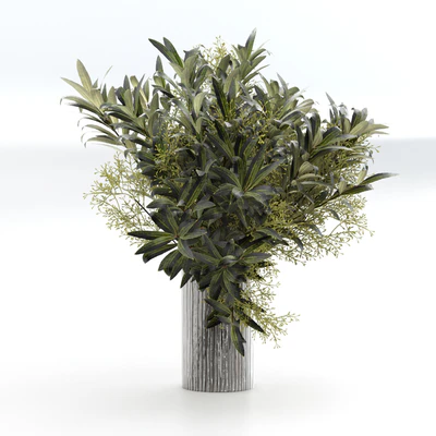 Bouquet of olive branches. — Ver 5