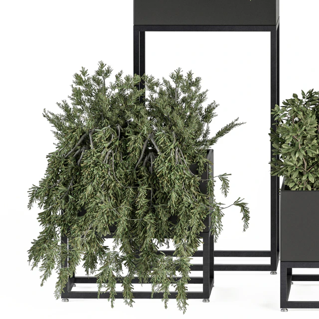 indoor Plant Set 327 - Plant Set in Black Box — Descargar