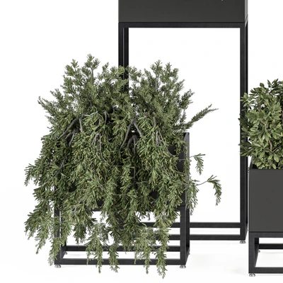 indoor Plant Set 327 - Plant Set in Black Box — Ver 4