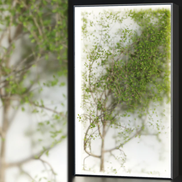 Plants in the light box vol 176 — Descargar