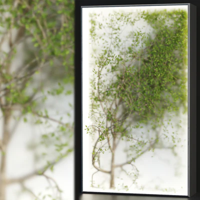 Plants in the light box vol 176 — Ver 1