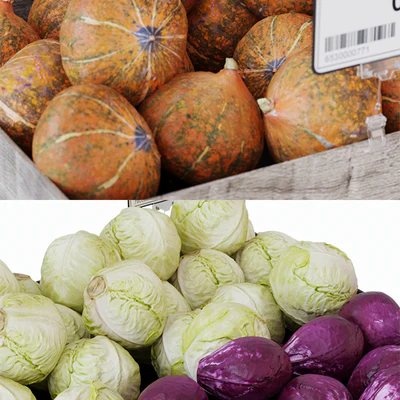Racks for vegetables / fruits — Ver 3