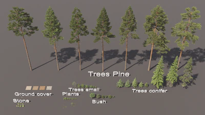 biome 01 — View 3