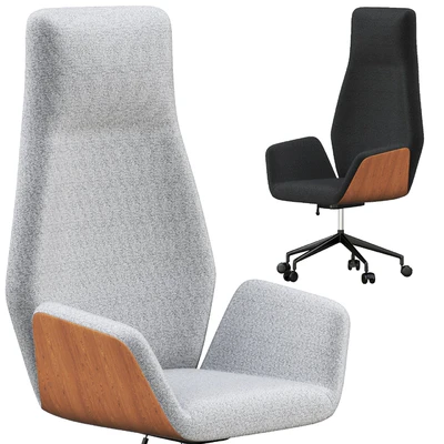 Ginkgo Conference chair — Ver 7