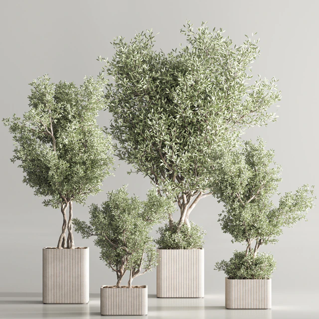 Indoor Plant Set 82 — Descargar