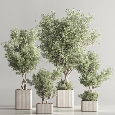 Indoor Plant Set 82 — Ver 6