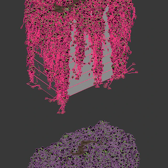 Ivy in tubs. 4 models — Descargar