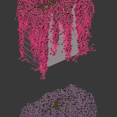 Ivy in tubs. 4 models — Ver 3