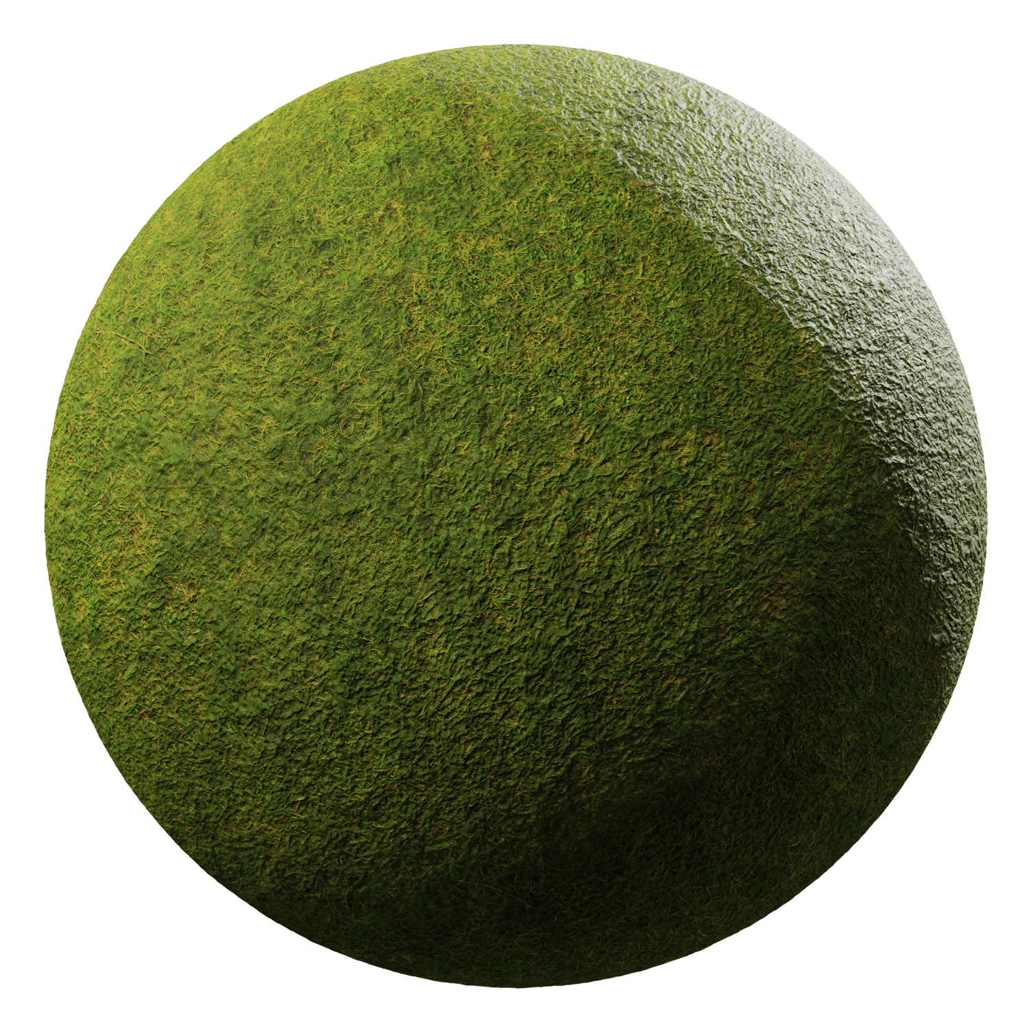grass green 004 — Скачать