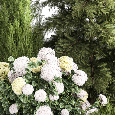 Сад из ель, сосна, топиар, белый куст гортензия, цветы, Можжевельник, альпийская горка. Набор растений 1181 — Вид 7