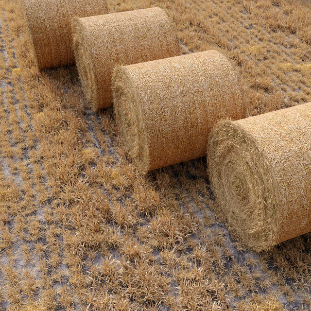 Farm field with hay bale — Descargar