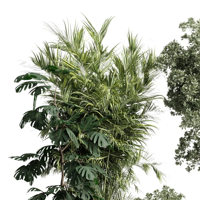 indoor plant set 452 plant bush monstera tree vase dirty concrete — Скачать