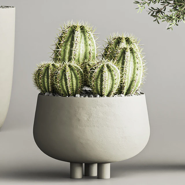 cactus & plant vol 03 — Descargar