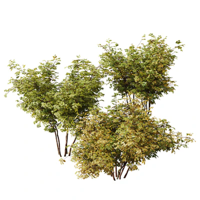 HQ Plants Bush Small — Ver 4