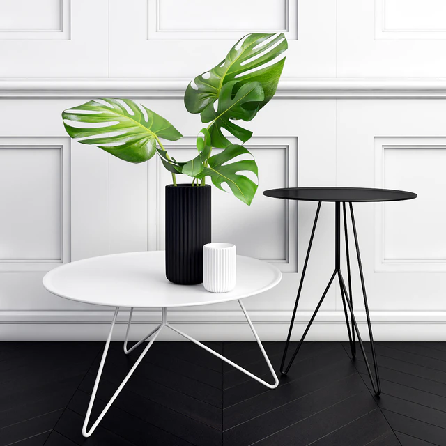 Philodendron — Descargar