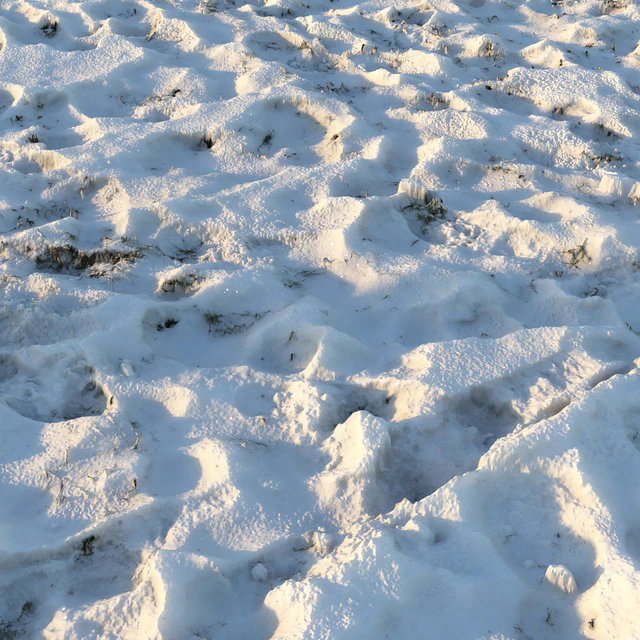 Grass under the snow (material) — Descargar