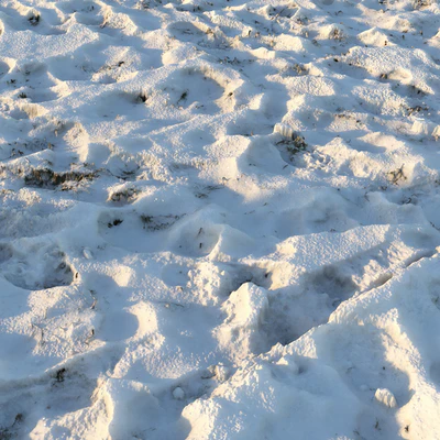 Grass under the snow (material) — Ver 5