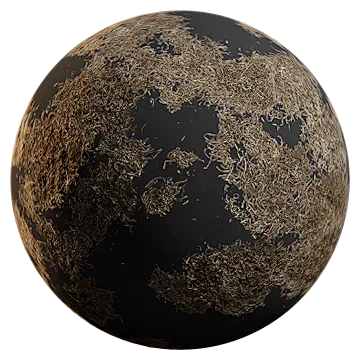 dried water grass 001 — Скачать